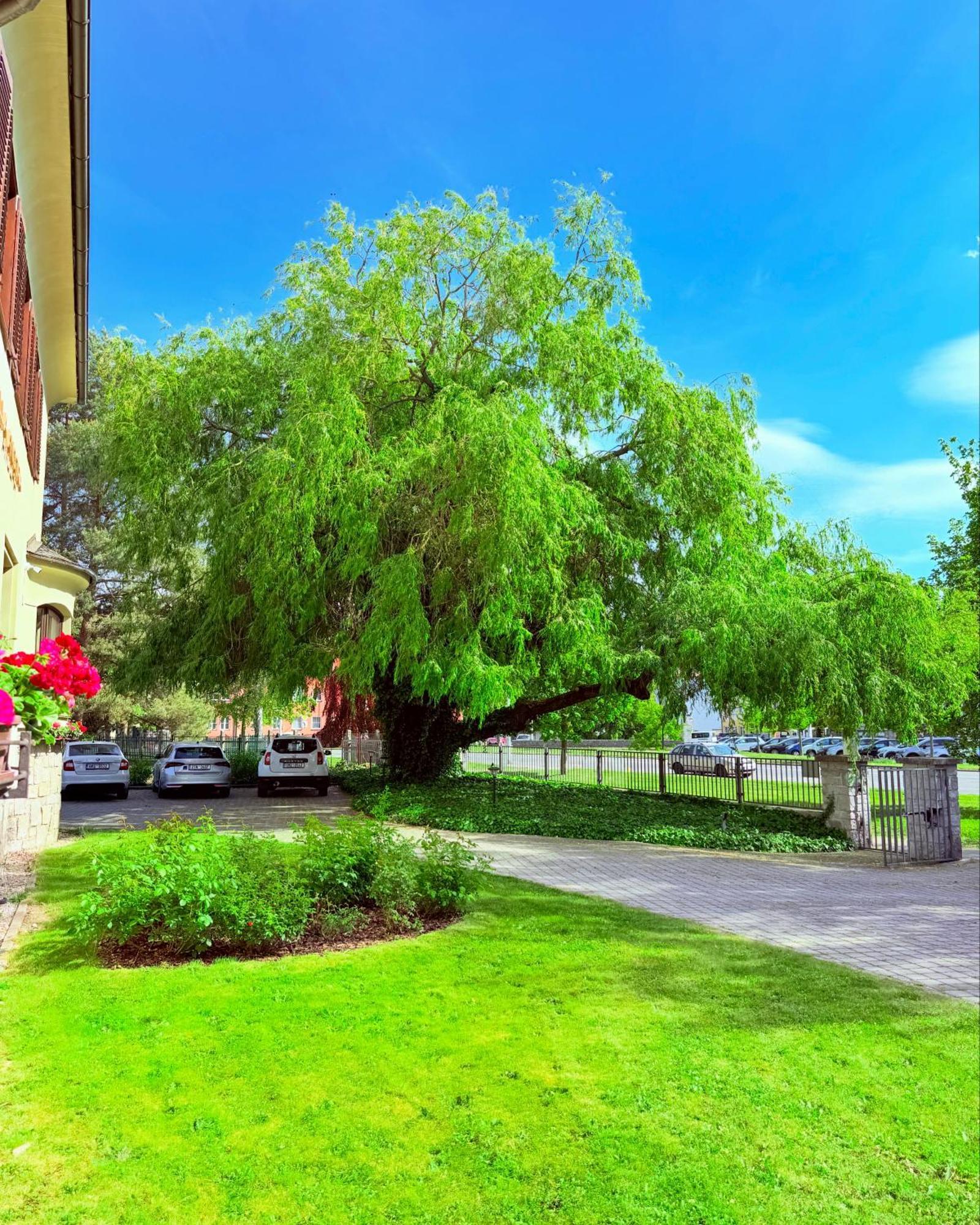 Penzion Villa Ancora Šumperk Zewnętrze zdjęcie